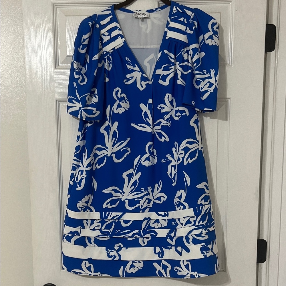 Crosby by Molly Burch blue and white dress